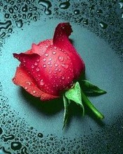 Erich Maria Remarque